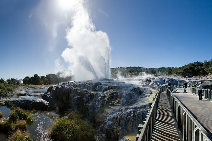 Private Tour From Auckland To Rotorua incl. Te Puia & Māori Haka - Photo 1 of 16